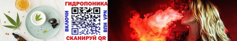 что такое Кингисепп Еда ТГК конопля
