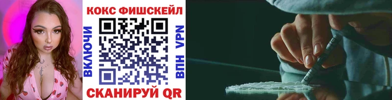 как найти наркотики  mega как войти  Кокаин 98%  Кингисепп 