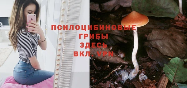 ешки Беломорск