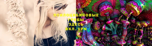 mdma Богданович