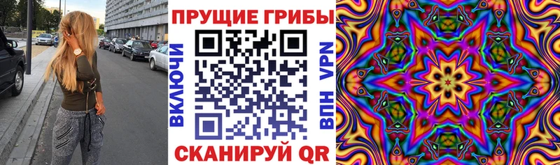 где купить   Кингисепп  Галлюциногенные грибы GOLDEN TEACHER 